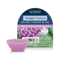 Yankee Candle - Wild Orchid - Galet de cire