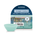 Yankee Candle - Aloe & Agave - Wax Melt