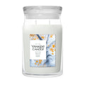 Yankee Candle - Silver Birch - Large Jar