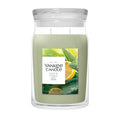 Yankee Candle - Sage & Citrus - Large Jar
