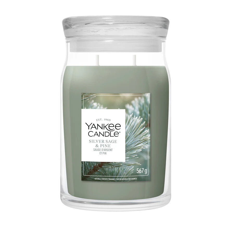 Yankee Candle - Silver Sage & Pine - Large Jar