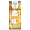 Yankee Candle - Starfruit & Sunshine - Car Jar