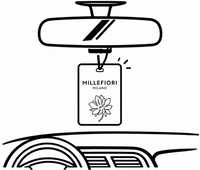 In de auto