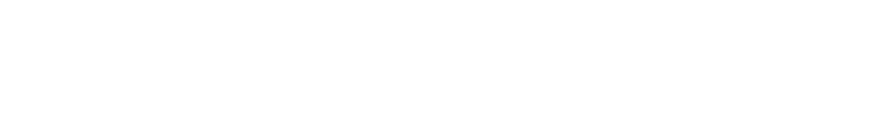 KIESGEURIG.