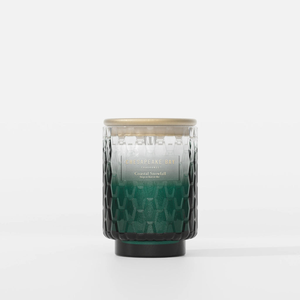 Chesapeake Bay - Coastal Snowfall - Medium Jar Candle