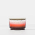 Chesapeake Bay - Harbor Holiday - 3-Wick Scented Candle