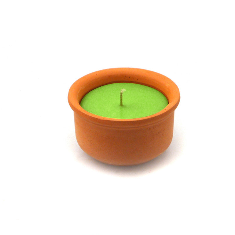 Graziani - Terracotta Eucalyptus - Small - Indoor
