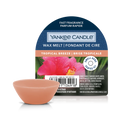 Yankee Candle - Tropical Breeze - Wax Melt