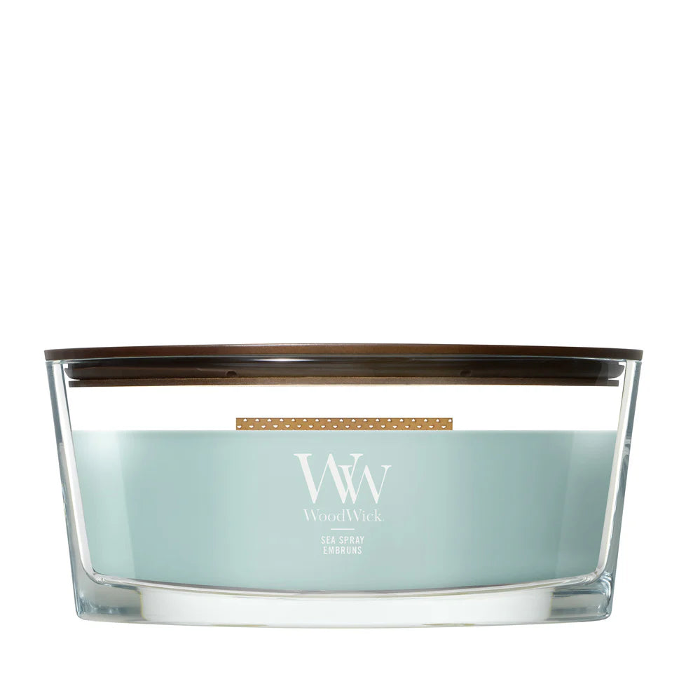 WoodWick - Sea Spray - Ellipse Geurkaars