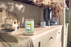 Yankee Candle - Cucumber Mint Cooler - Medium Jar