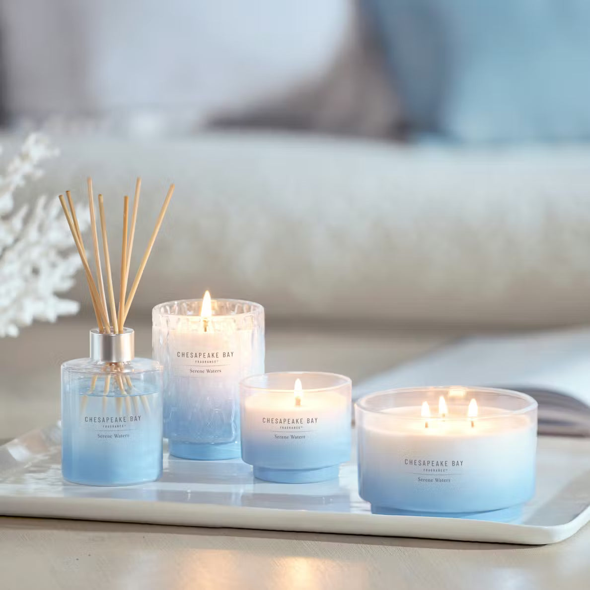 Chesapeake Bay - Serene Waters - 3-Wick Geurkaars